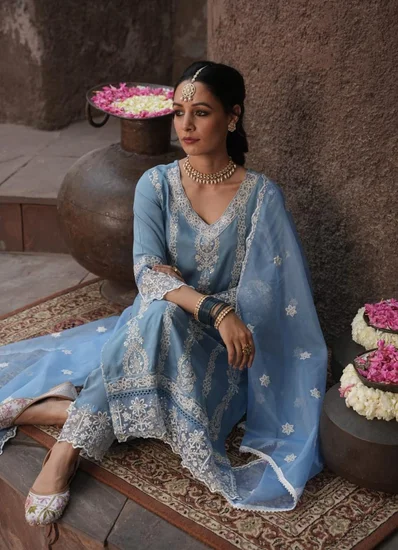 Powder Blue Embroidered Suit Set with Organza Detailing